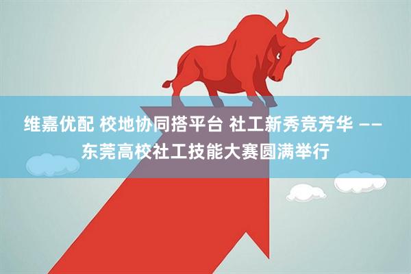 维嘉优配 校地协同搭平台 社工新秀竞芳华 —— 东莞高校社工技能大赛圆满举行