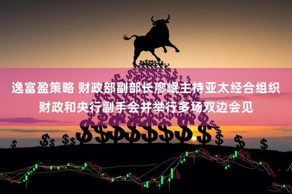 逸富盈策略 财政部副部长廖岷主持亚太经合组织财政和央行副手会并举行多场双边会见