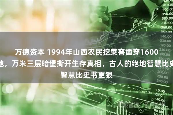万德资本 1994年山西农民挖菜窖凿穿1600年前停地，万米三层暗堡撕开生存真相，古人的绝地智慧比史书更狠