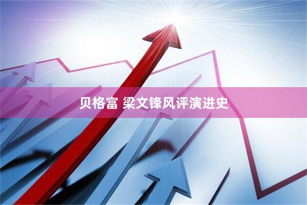 贝格富 梁文锋风评演进史